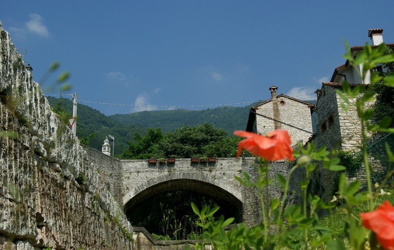 ''…ma son mille papaveri rossi…'' - Revine Lago