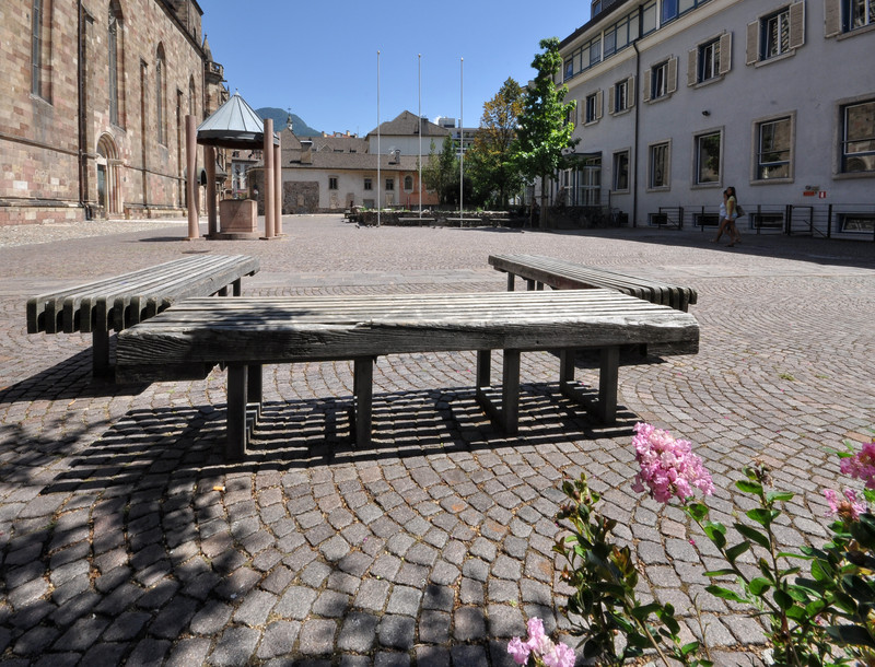 ''fiori rosa per te,  in piazza della parrocchia'' - Bolzano