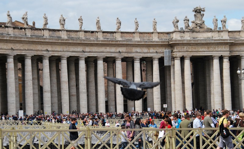 ''un piccione prende il volo a p.zza San Pietro'' - Roma