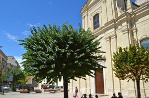 Piazza santa Teresa D’Avila