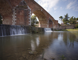 cesena