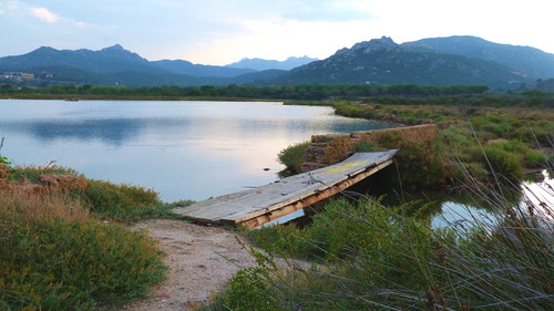 130069-800x450 130069-800x450