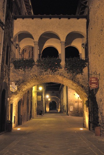 130186-537x800 130186-537x800