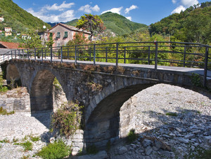 Un ponte per Verzemma