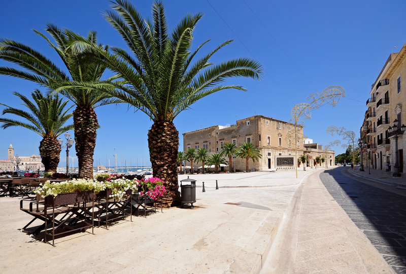 ''qui il punteruolo rosso non ha colpito, per fortuna!'' - Trani
