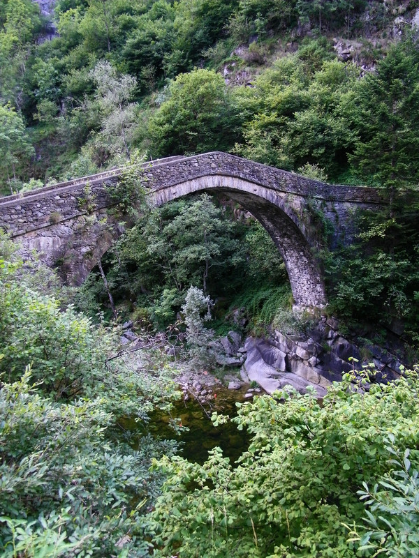 ''Sto scomparendo..'' - Boccioleto