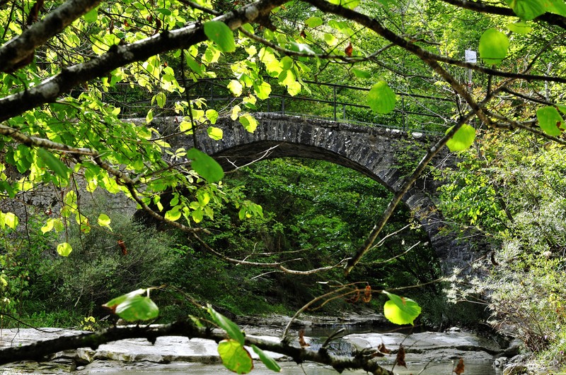 ''Ponte sul Fosso del Capanno'' - Bagno di Romagna