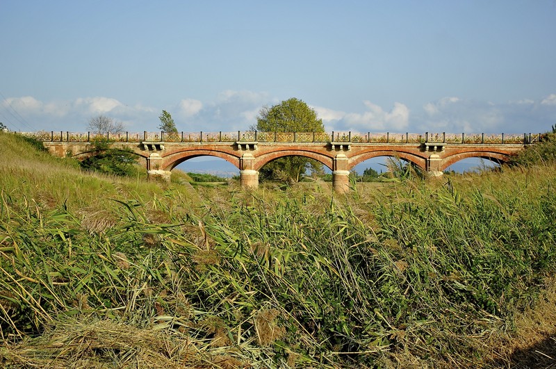 ''Rosso nel verde'' - Grosseto