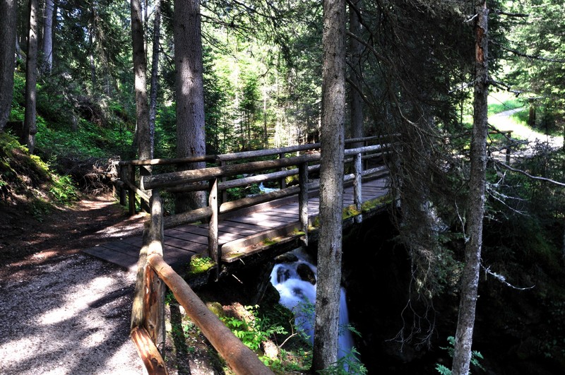 ''Nel bosco'' - Corvara in Badia