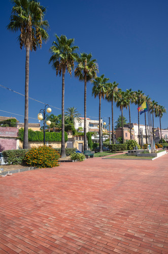 132757-529x800 132757-529x800