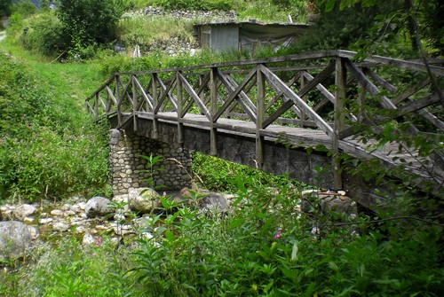 133316-800x537 133316-800x537