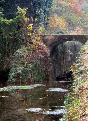 133344-582x800 133344-582x800