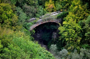 Così sommerso dal bosco… sarà “Ponte dell’Imboscata”?