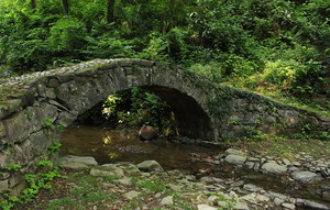 Il bosco e il ponticello