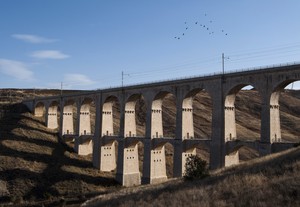 Uccellacci e Uccellini