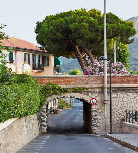 135871-719x800 135871-719x800