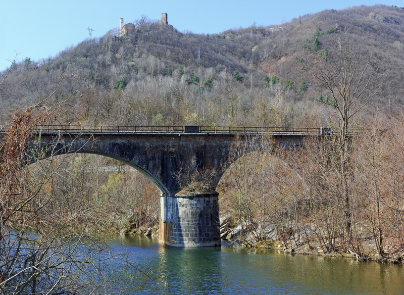 ''Timidi risvegli'' - Nucetto