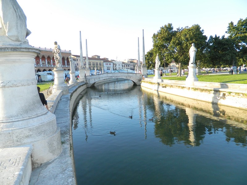 ''Padova, piazza Prato della Valle, … e le paperelle spensierate'' - Padova