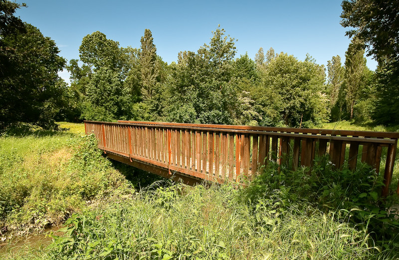 ''Nel bosco'' - Rubano