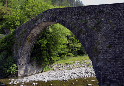 137641-800x555 137641-800x555