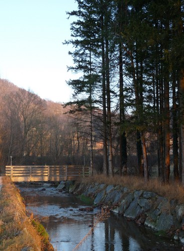 137649-588x800 137649-588x800