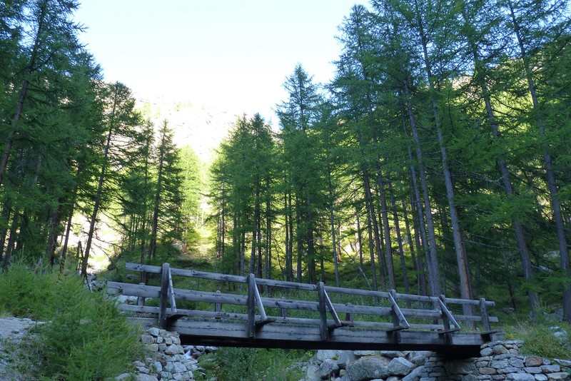 ''circondato dai larici'' - Valsavarenche