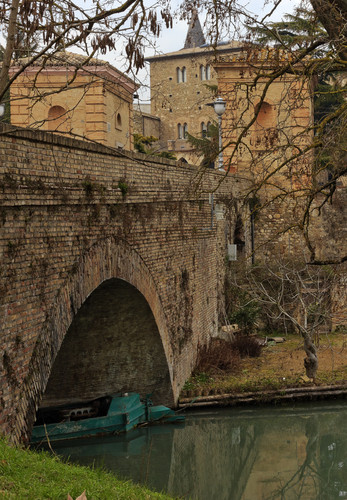 139099-556x800 139099-556x800