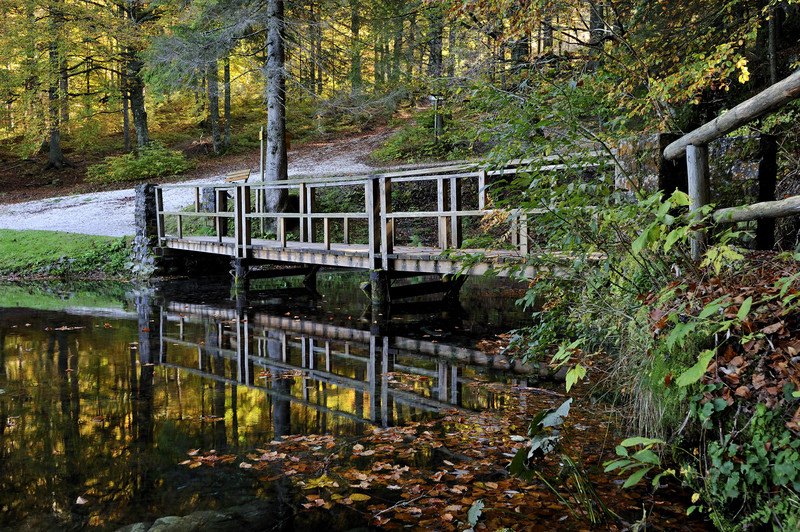 ''Ponticello a Fusine laghi'' - Tarvisio