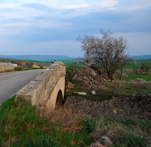 139732-800x779 139732-800x779