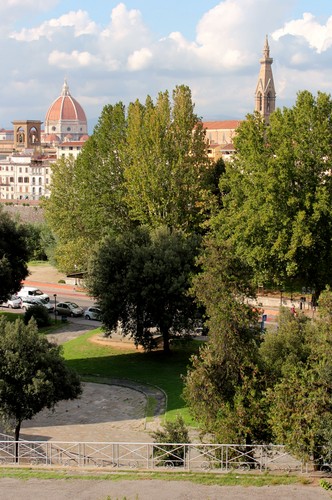 139834-531x800 139834-531x800