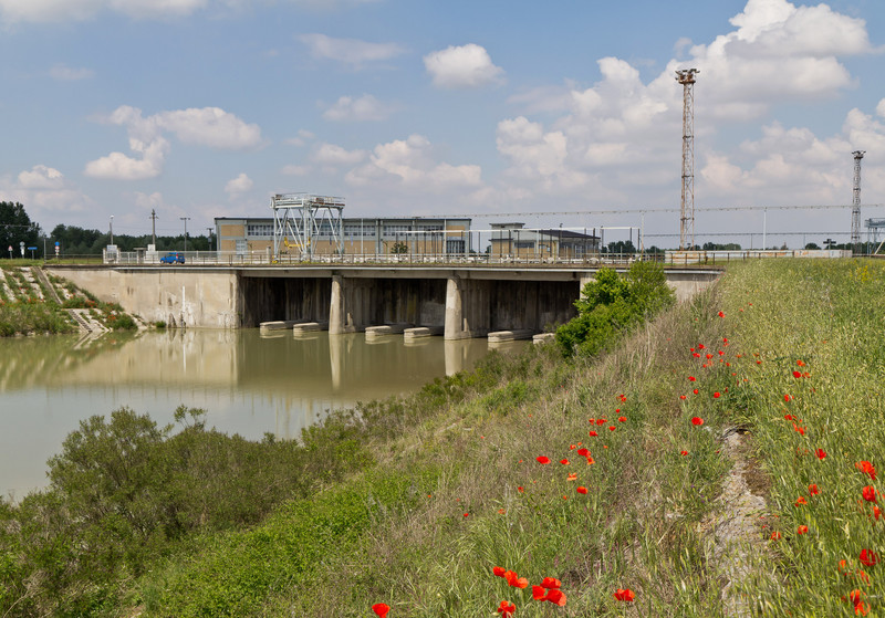''Papaveri per Napoleone'' - Bondeno