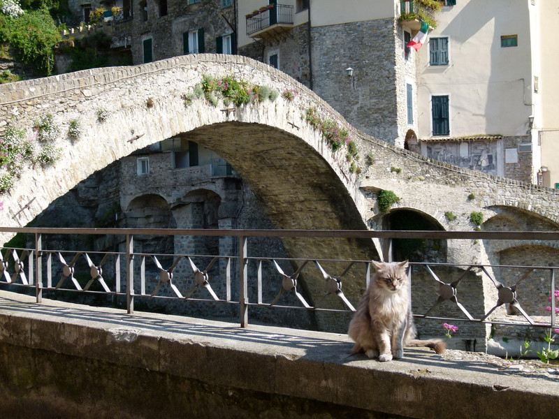 ''Il guardiano del ponte'' - Dolceacqua
