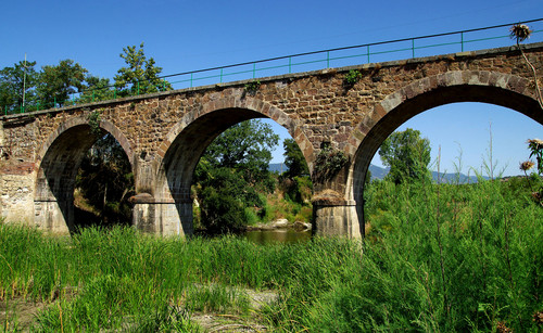 141526-800x492 141526-800x492