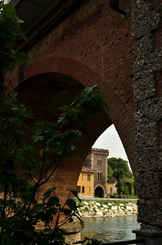 141912-529x800 141912-529x800