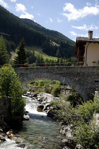 143802-533x800 143802-533x800