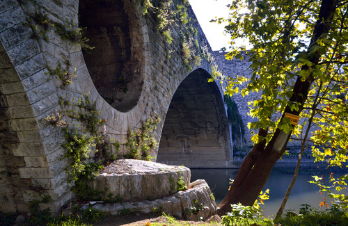 145162-800x520 145162-800x520