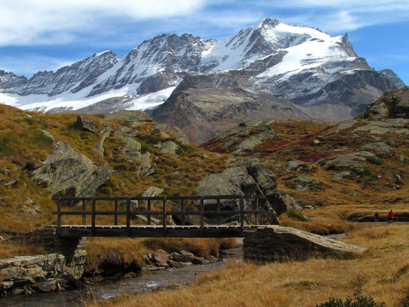 ''è autunno nel PNGP Parco Nazionale Gran Paradiso'' - Valsavarenche