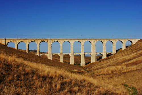 145714-800x533 145714-800x533