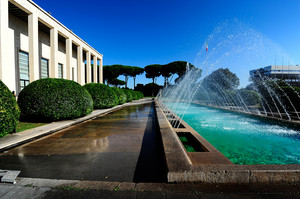 I finti amici………al momento del bisogno non ci sono mai