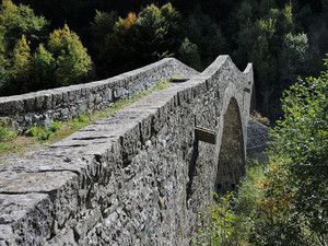 La schiena dell’asino