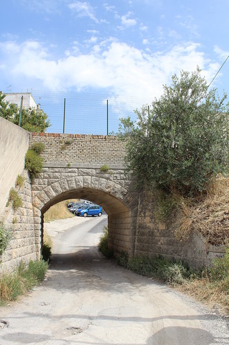 146767-533x800 146767-533x800