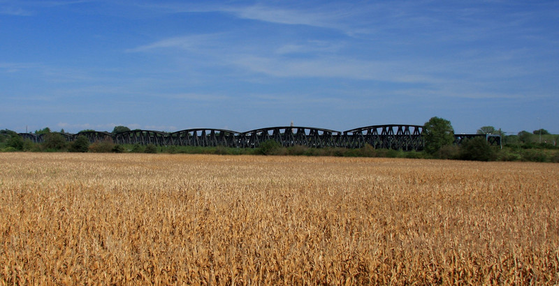''tra i campi di grano'' - Castelvetro Piacentino