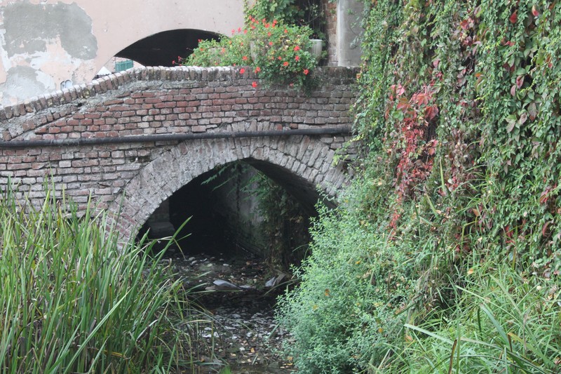 ''torre beretti'' - Torre Beretti e Castellaro