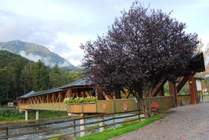 Il ponte nel parco