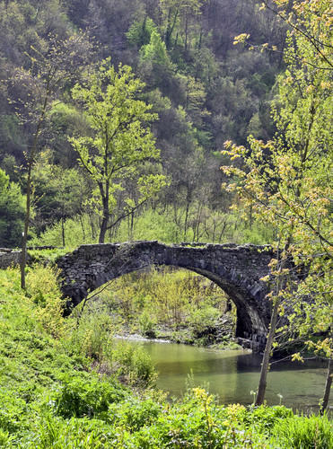 149134-593x800 149134-593x800