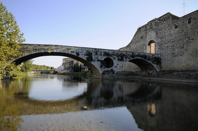 ''Menta selvatica'' - Prato