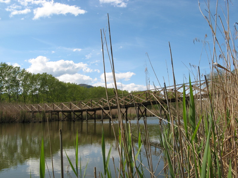 ''L’oasi'' - Villa d'Adda