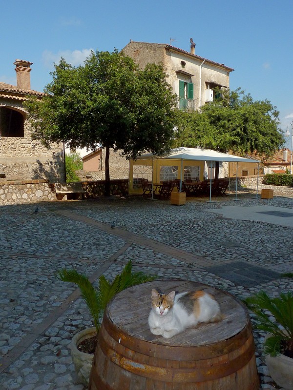 ''Guardiano'' - Minturno