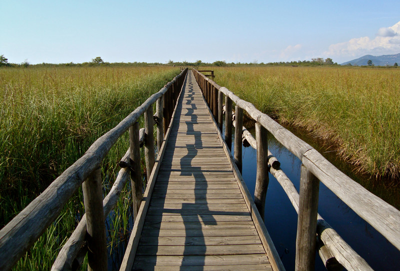 ''Passeggiata nell’oasi LIPU'' - Massarosa