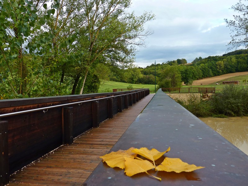 ''Autunno'' - Amelia